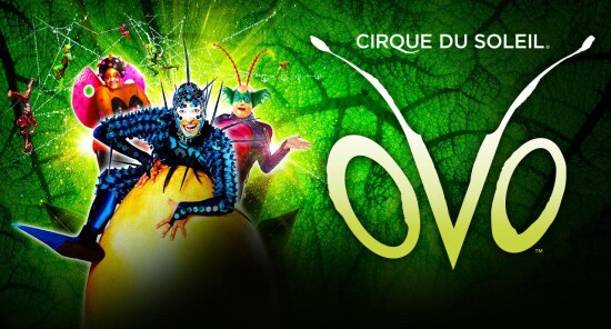 Ovo - Il nuovo spettacolo del Cirque du Soleil alla Royal Albert Hall