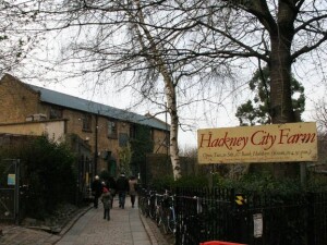 Hackney city farm londra