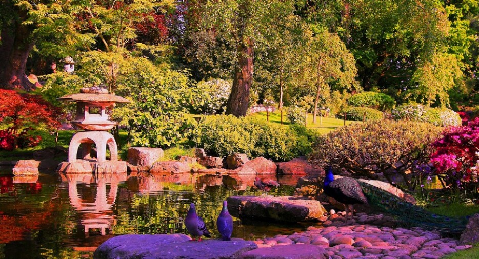 Kyoto Garden