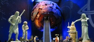 Natural History Museum bambini