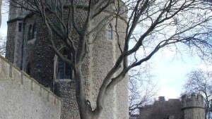 bowyer tower