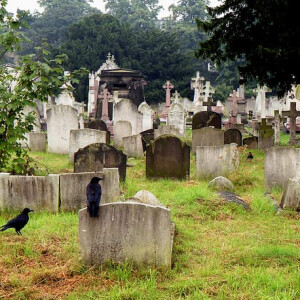 @caption (foto Hunter Desportes/flickr) brompton cemetery
