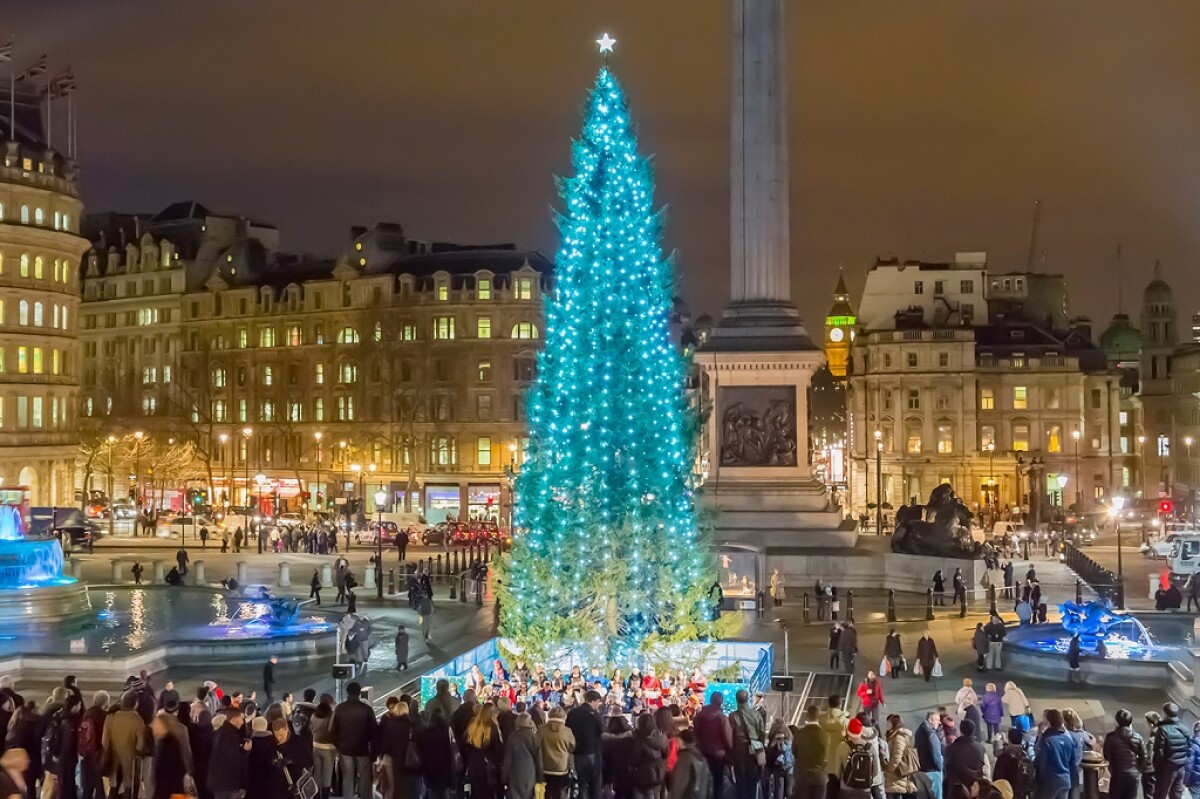 Esplora il meglio di Londra: dalle icone ai segreti nascosti, scopri i prodotti top scelti per te da VIVI CITY