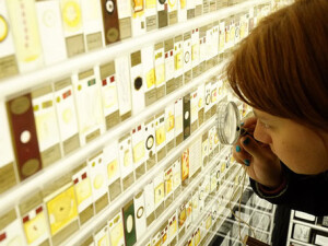 grant-museum-zoology-1