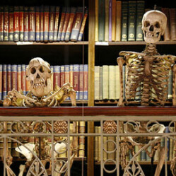Grant Museum of Zoology: Museo di Zoologia