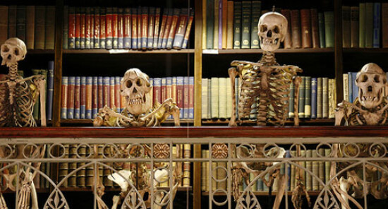 Grant Museum of Zoology: Museo di Zoologia