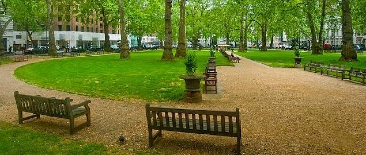 Esplora il meglio di Londra: dalle icone ai segreti nascosti, scopri i prodotti top scelti per te da VIVI CITY