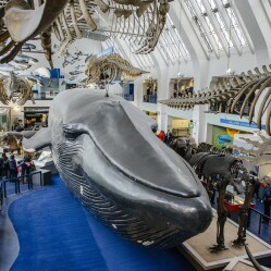 5 musei di Londra per bambini e ragazzi