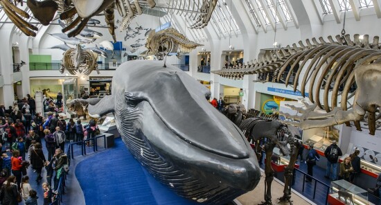 5 musei di Londra per bambini e ragazzi