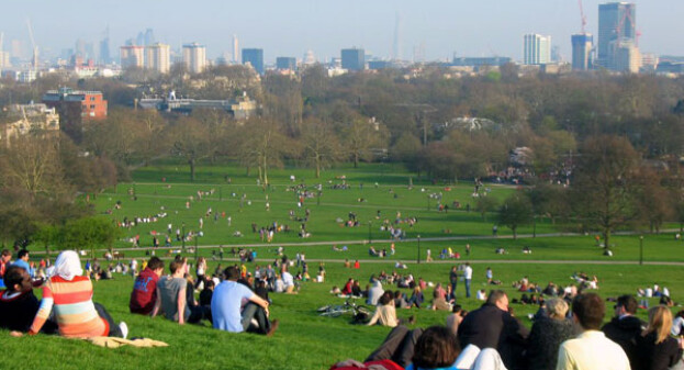 primrosehill