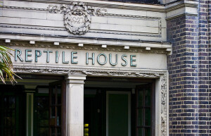reptile House harry potter
