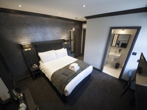 the duke rooms