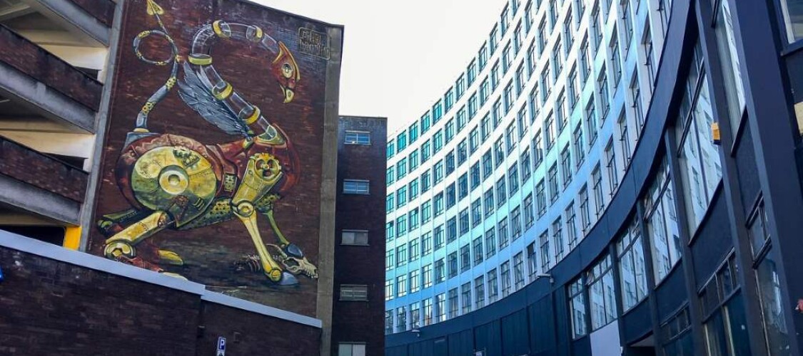 Scopri le migliori attività ed i tour per visitare Bristol