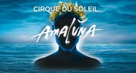 cirque du soleil ticket