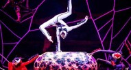 cirque du soleil