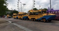 Duck Tour 11