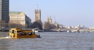 Duck Tour 6