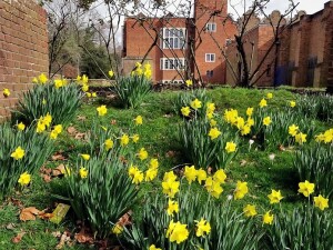 Holland House Duncan flickr