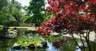 Kyoto Garden Venesha Thompson flickr