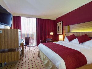Radisson Blu Hotel