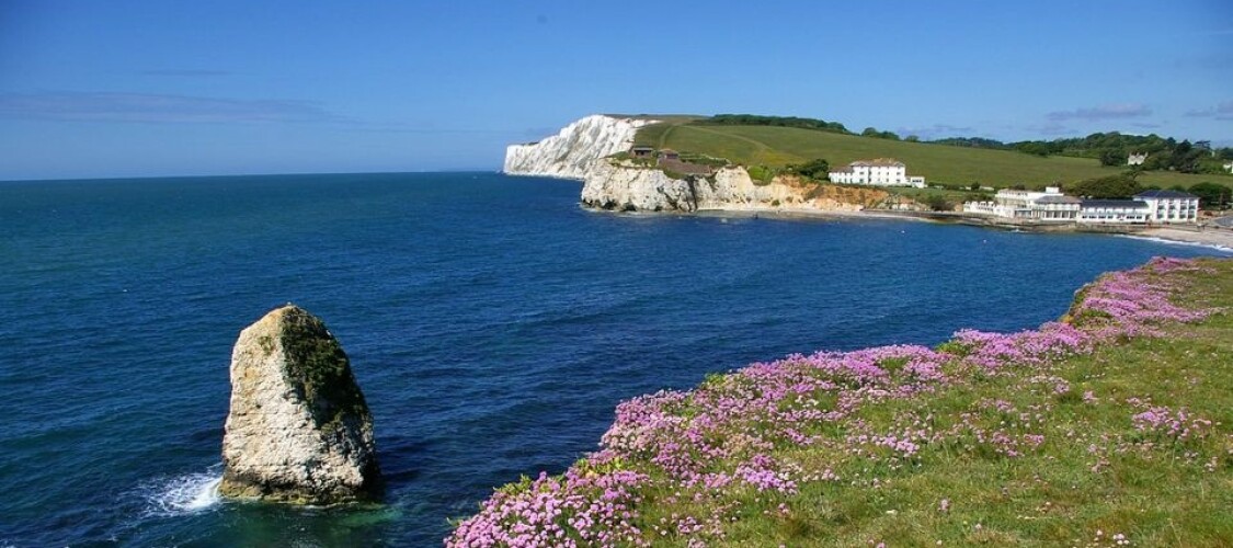 Scopri le offerte per visitare l'Isola di Wight partendo da Londra
