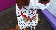 LegoLand Windsor 6