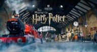 Harry Potter top