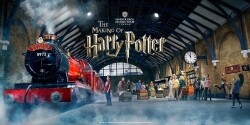 Harry Potter top