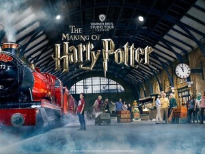 Harry Potter top