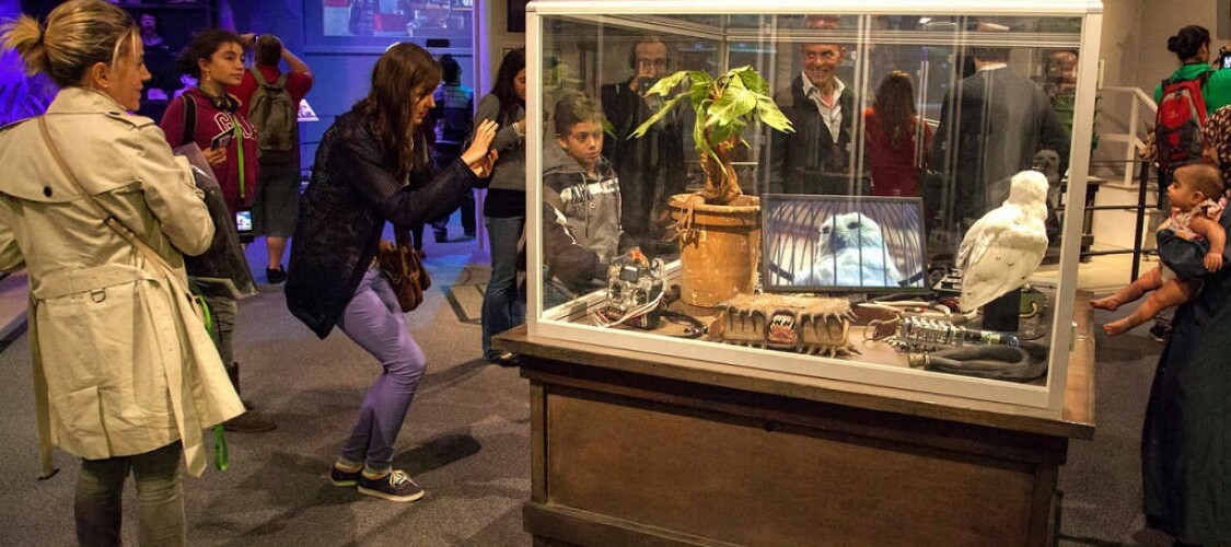 Biglietti con transfer da Londra agli Harry Potter Warner Bros Studios