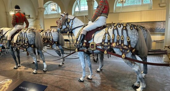 Royal Mews: Visita le scuderie reali di Buckingham Palace