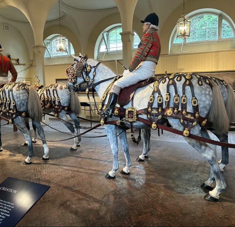 Royal Mews Londra cavalli