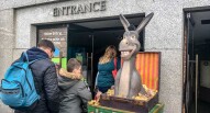 Shreks adventure entrata vivicity