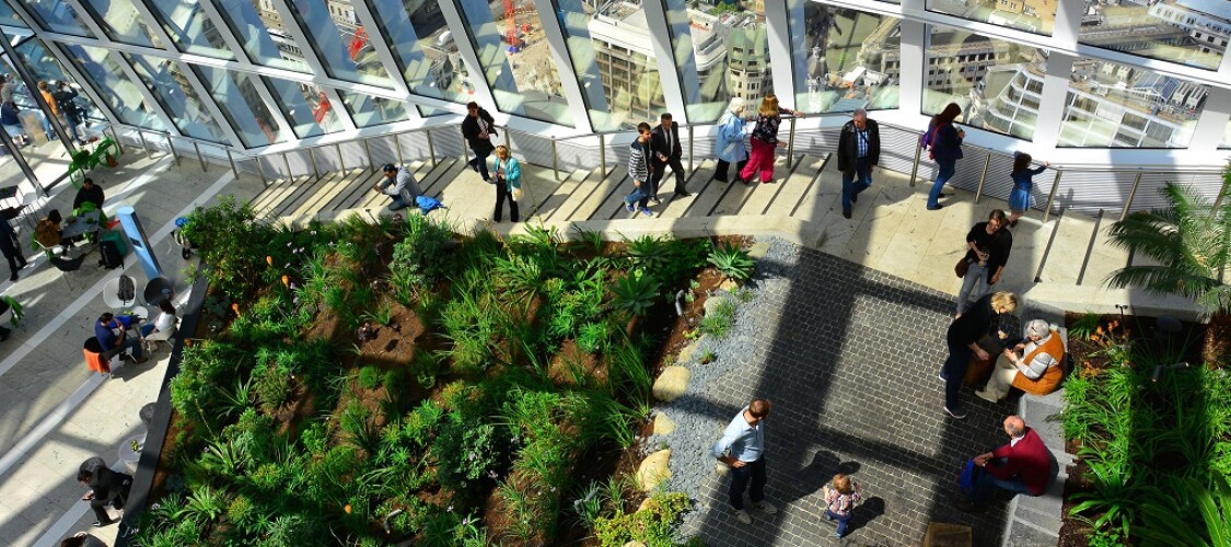 Visita lo Sky Garden di Londra - Biglietto di Ingresso + Consumazione
