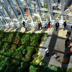 Sky Garden: I giardini nel grattacielo della City