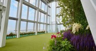 The Shard Garden ThewiewfromtheShard fb