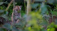 London Zoo Paul Hudson flickr