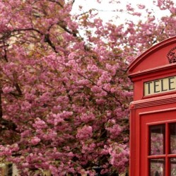 Cosa fare a Londra in Primavera: Guida ai migliori tour, eventi e attività