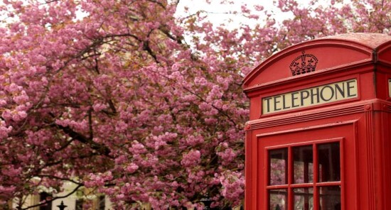 Cosa fare a Londra in Primavera: Guida ai migliori tour, eventi e attività