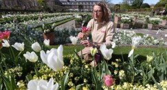white garden princess diana 0