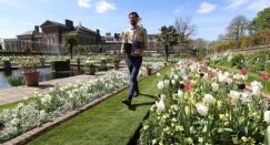 white garden princess diana