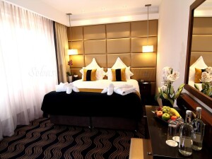 picadilly london west end hotel