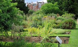 chelsea-garden-2
