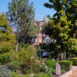 Chelsea Physic Garden. Il giardino segreto di Londra