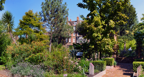 Chelsea Physic Garden. Il giardino segreto di Londra