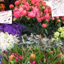 Columbia Road Flower Market. Il mercato dei fiori di East London