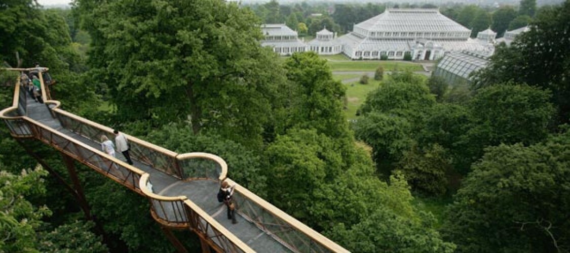 Acquista i biglietti per Royal Botanic Kew Gardens e scopri i migliori tour guidati che abbiamo selezionato per te