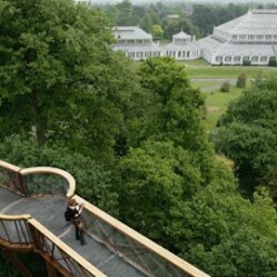 Royal Botanic Kew Gardens - I giardini delle meraviglie