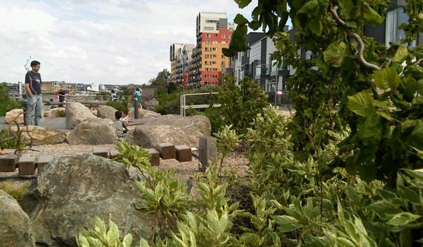 pocket-park-brockley