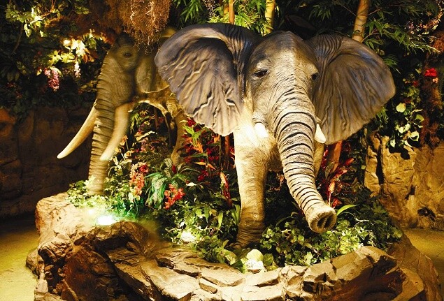 rainforest cafe elefante